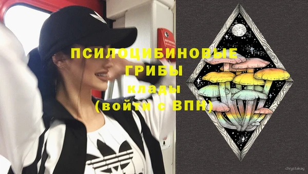 прущая мука Протвино